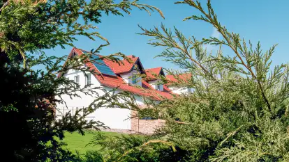 Siedlisko Sabinowo - zdjęcie 38