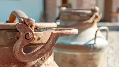 Siedlisko Sabinowo - zdjęcie 37