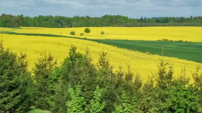 Siedlisko Sabinowo - zdjęcie 53