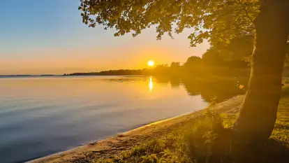 Świerkowa Ostoja - zdjęcie 33