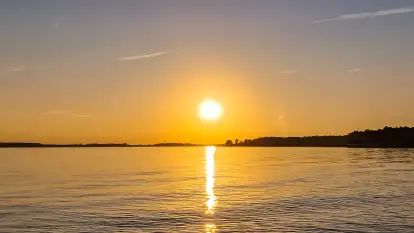 Świerkowa Ostoja - zdjęcie 35