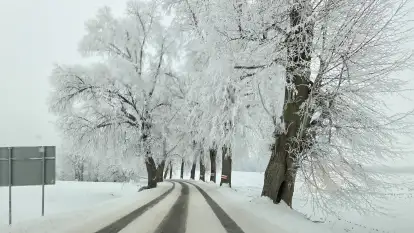 Pensjonat Magdacz - zdjęcie 44