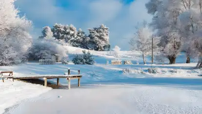 Folwark Perły - zdjęcie 71