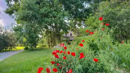 Folwark Perły - zdjęcie 34