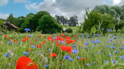 Folwark Perły - zdjęcie 69