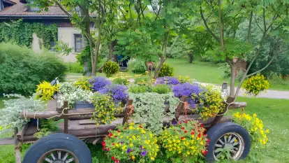 Folwark Perły - zdjęcie 39