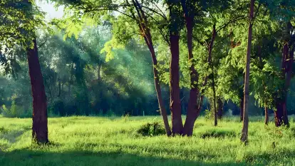 Agroturystyka Na Końcu Świata - zdjęcie 17