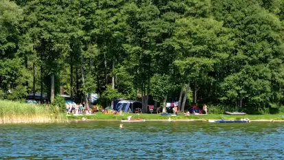 Pole Namiotowe Świerkowa Skarpa - zdjęcie 19