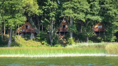 Pole Namiotowe Świerkowa Skarpa - zdjęcie 18