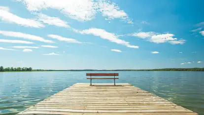 Pole Namiotowe Świerkowa Skarpa - zdjęcie 12