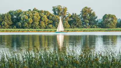 Pole Namiotowe Świerkowa Skarpa - zdjęcie 8