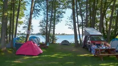 Pole Namiotowe Świerkowa Skarpa - zdjęcie 10
