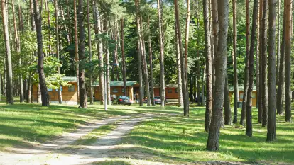 Świerkowa Skarpa - zdjęcie 31