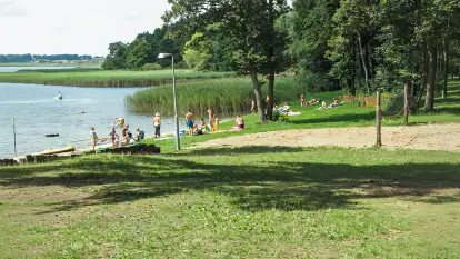 Świerkowa Skarpa - zdjęcie 8