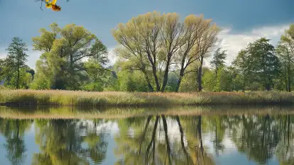 Stara Szkoła w Harszu - zdjęcie 41