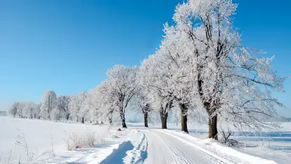 Stara Szkoła w Harszu - zdjęcie 61