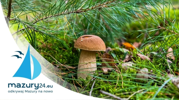 Wrześniowe Mazury... Ach te grzyby 2020