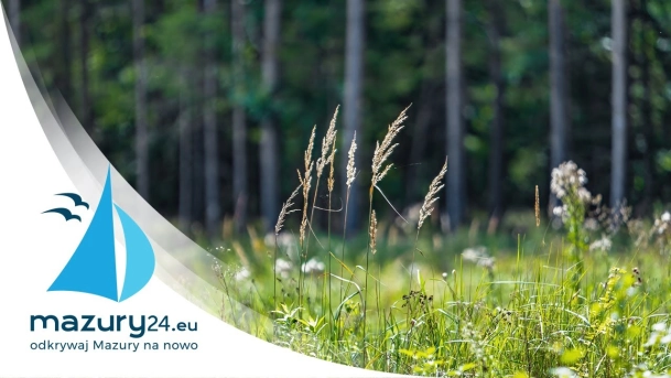 Mazurska przyroda, sierpień 2021, 4K