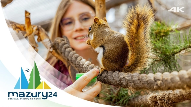 Atrakcje turystyczne na Mazurach - Wiewiórkarnia Wilkasy, 4K