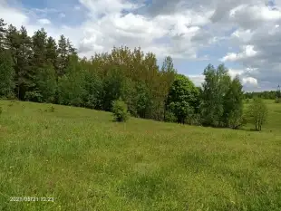 Działki budowlano-rekreacyjne - zdjęcie 4