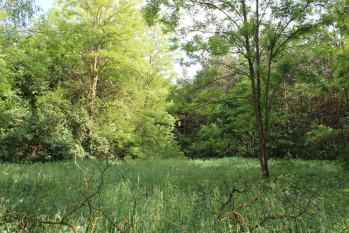 Nieduże poniemieckie siedlisko, 5 km od Karwicy i jeziora Nidzkiego - zdjęcie 10