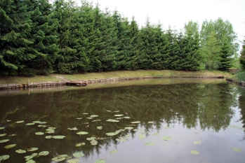 Sprzedam działkę z linią brzegową jeziora. Pow.  9670 m kw.  - Mazury Garbate - zdjęcie 4