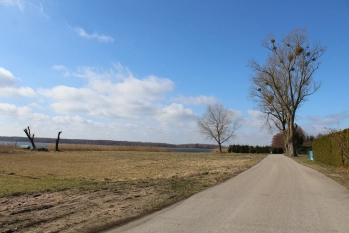 Działka rolna 4442 m2 blisko jeziora Białoławki - zdjęcie 3