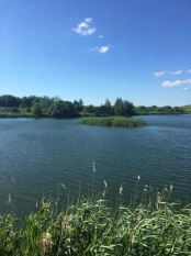 DZIAŁKA 29 ha GRZYBINY, DZIAŁDOWO, NIDZICA - zdjęcie 9