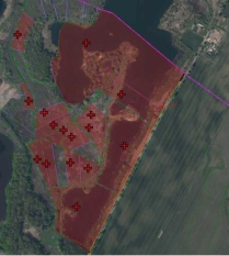 DZIAŁKA 29 ha GRZYBINY, DZIAŁDOWO, NIDZICA - zdjęcie 5