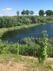 DZIAŁKA 29 ha GRZYBINY, DZIAŁDOWO, NIDZICA - zdjęcie 4