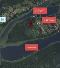 6 dużych działek rekreacyjnych 150 m od jeziora Roś - zdjęcie 1