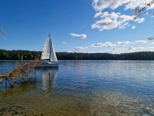 Sprzedam Phobos 24.5 Bogato wyposażony - zdjęcie 17