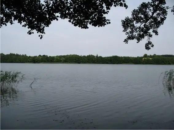 Działka z linią brzegową