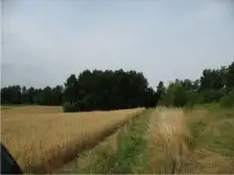 Działka z linią brzegową