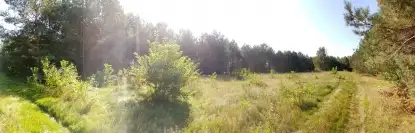 Działka na Mazurach, Jerutki - zdjęcie 11