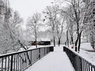 Działka z lokalem tuż koło linii brzegowej, Mazury - zdjęcie 4