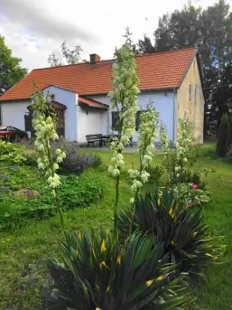 Urocze siedlisko na Mazurach!